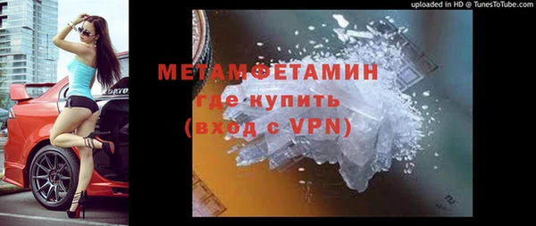 spice Богданович
