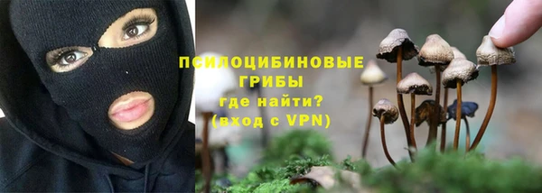 круглые Арсеньев