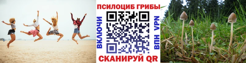 Псилоцибиновые грибы ЛСД  Спасск-Дальний 