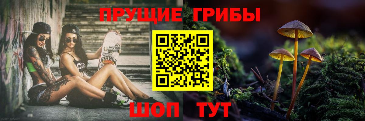 Галлюциногенные грибы мухоморы Спасск-Дальний